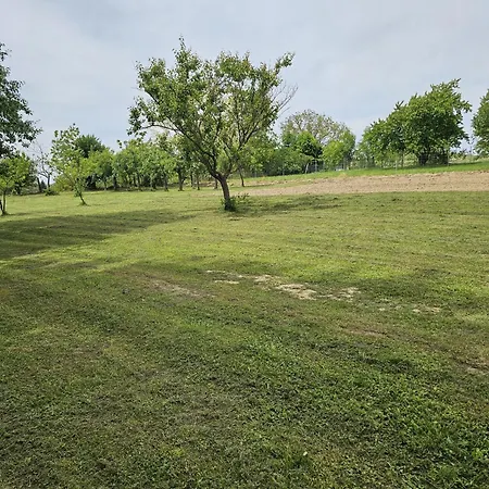 Hébergement de vacances Haus Rita Am örség *