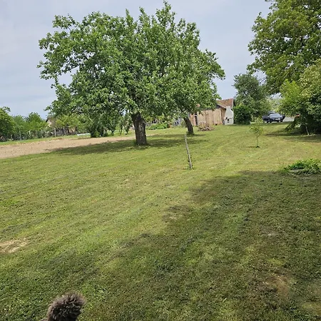 Tatil Evi Haus Rita Am Oerseg Zalalövő