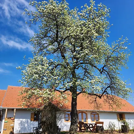 Haus Rita Am Oerseg Дом отдыха Zalalovo